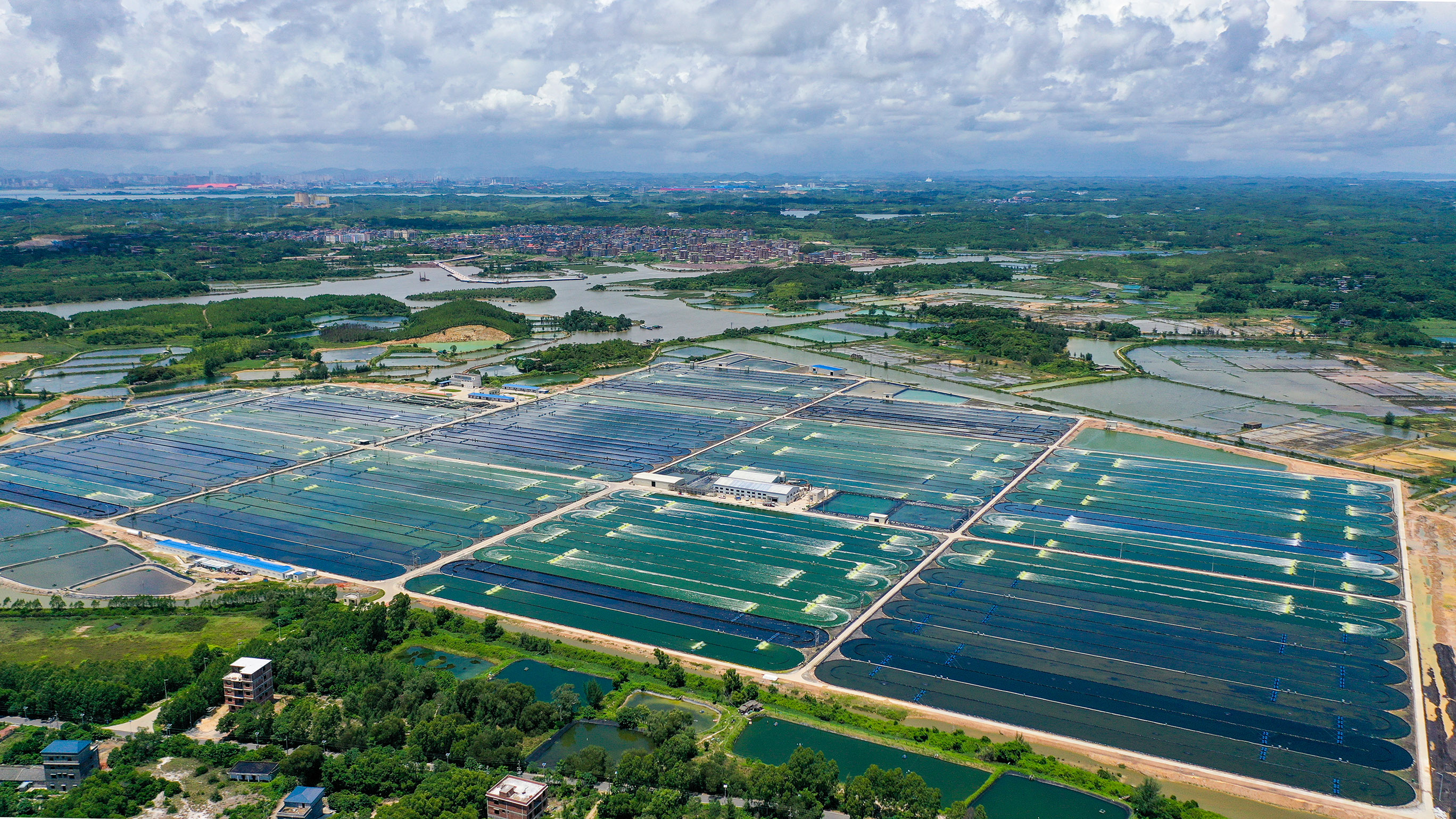 Lyxia Sun Sea Sustenance